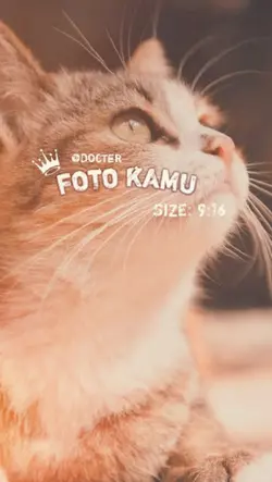1pic
