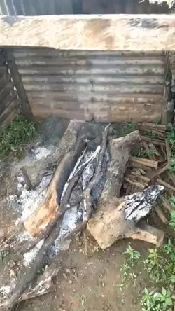 Pindang na igat
