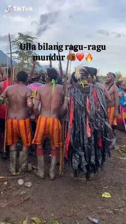 wisisi viral