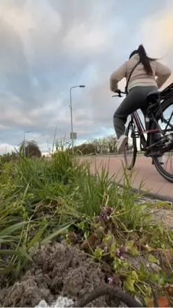 Riding a bike