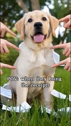 POV Receipts Dog