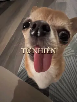 Tự Nhiên -9 ảnh