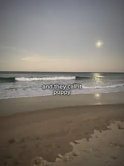 Puppy love