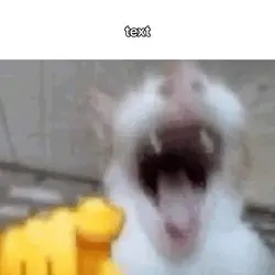 /e laugh