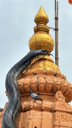 Mahahal ujjain 🚩✨