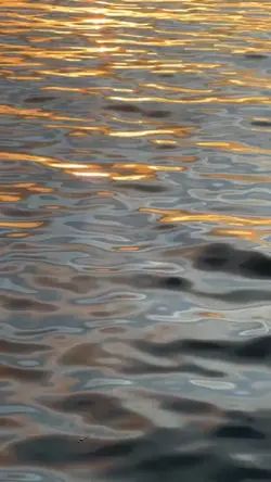my video