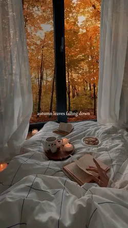 autumn leaves fallin