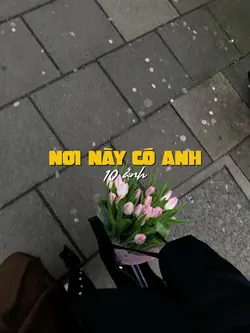 nơi này có anh