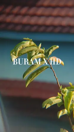 buram X hd 