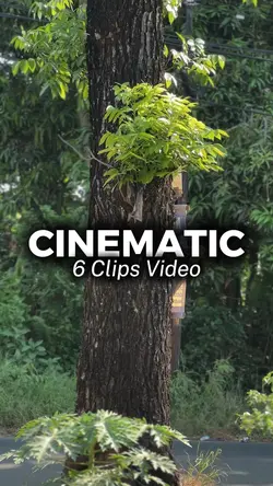6 Clips Video