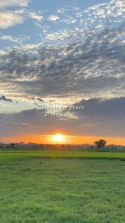 this is my peace