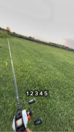 6.7
