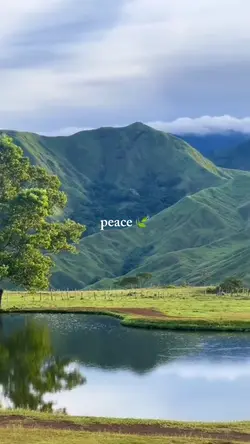 Peace 🍃