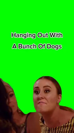 Hangin Out With Dogs