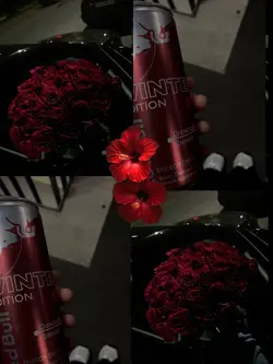 Fleur rouge 🌹🥀