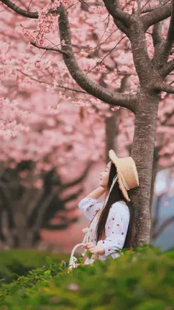 Sakura Japan🌸