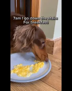7am I go down 