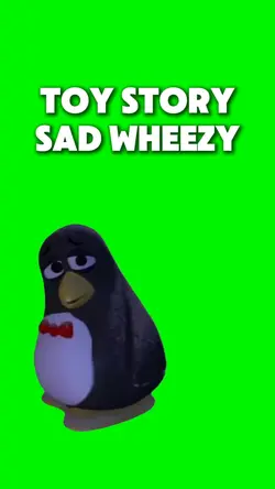Toy Story Sad Wheezy