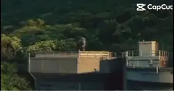 Jaaaaa 