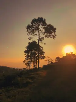 foto senja