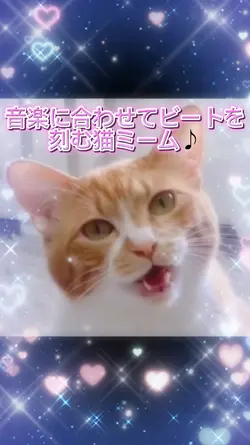 音楽に合わせるビートを刻む猫ミーム