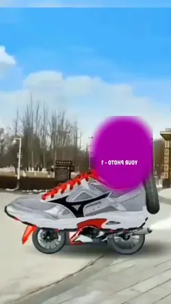 The Goat Trend Edit 