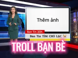 Mẫu Tìm Chó Lạc