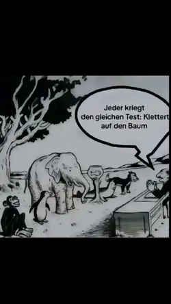 🇩🇪 Schulsystem