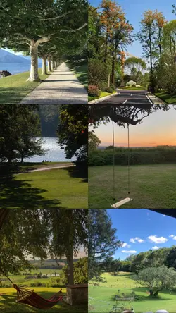 nature photos