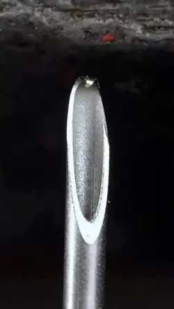 Hammer Photo