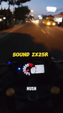 sound zx25r