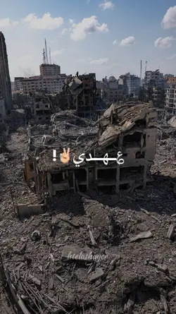 Palestine Video edit