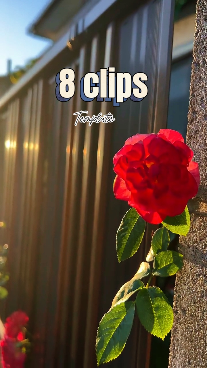 capcut template cover