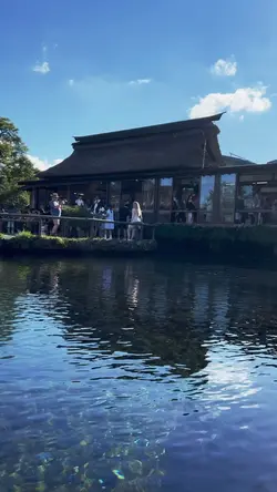🎐春夏秋冬🎐彩り色彩🎐