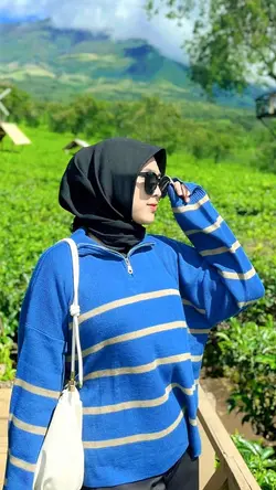 HD + JERNIH
