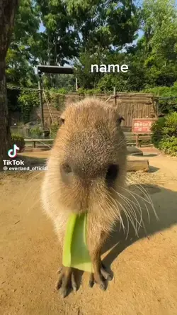 친구의 이름을 넣어보세요