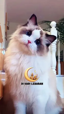 jj trend lebaran