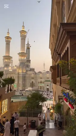 qalbi fil madinah 