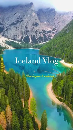 daily vlog