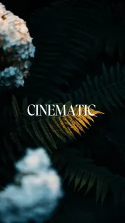 CINEMATIC 