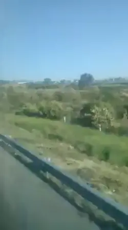vamos progresando 