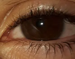 real eyes 