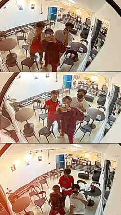 ฟีด