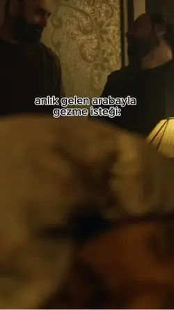 Arabayla gezelim 