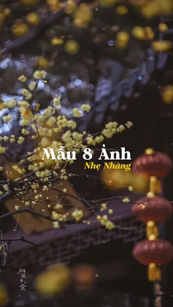 Mẫu 8 Ảnh