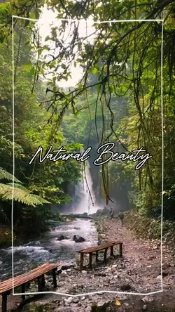 Natural Beauty