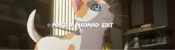 Meowmeow the cat