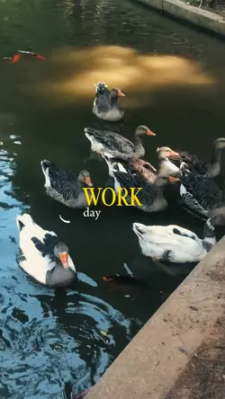 work day