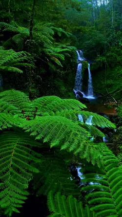 nature vibes