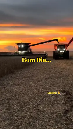 Bom dia...